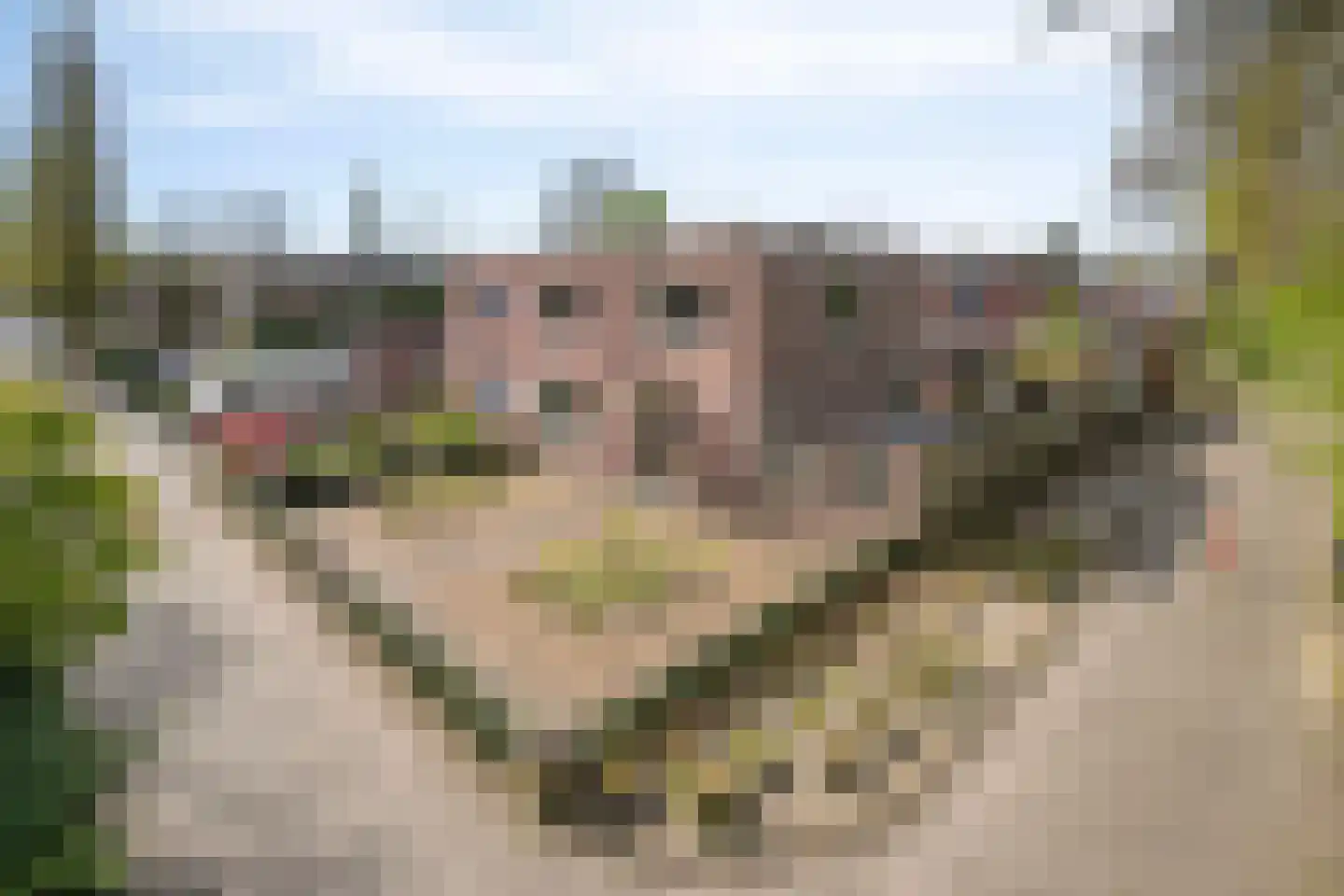 Europaplein 19 Best thumbnail 5
