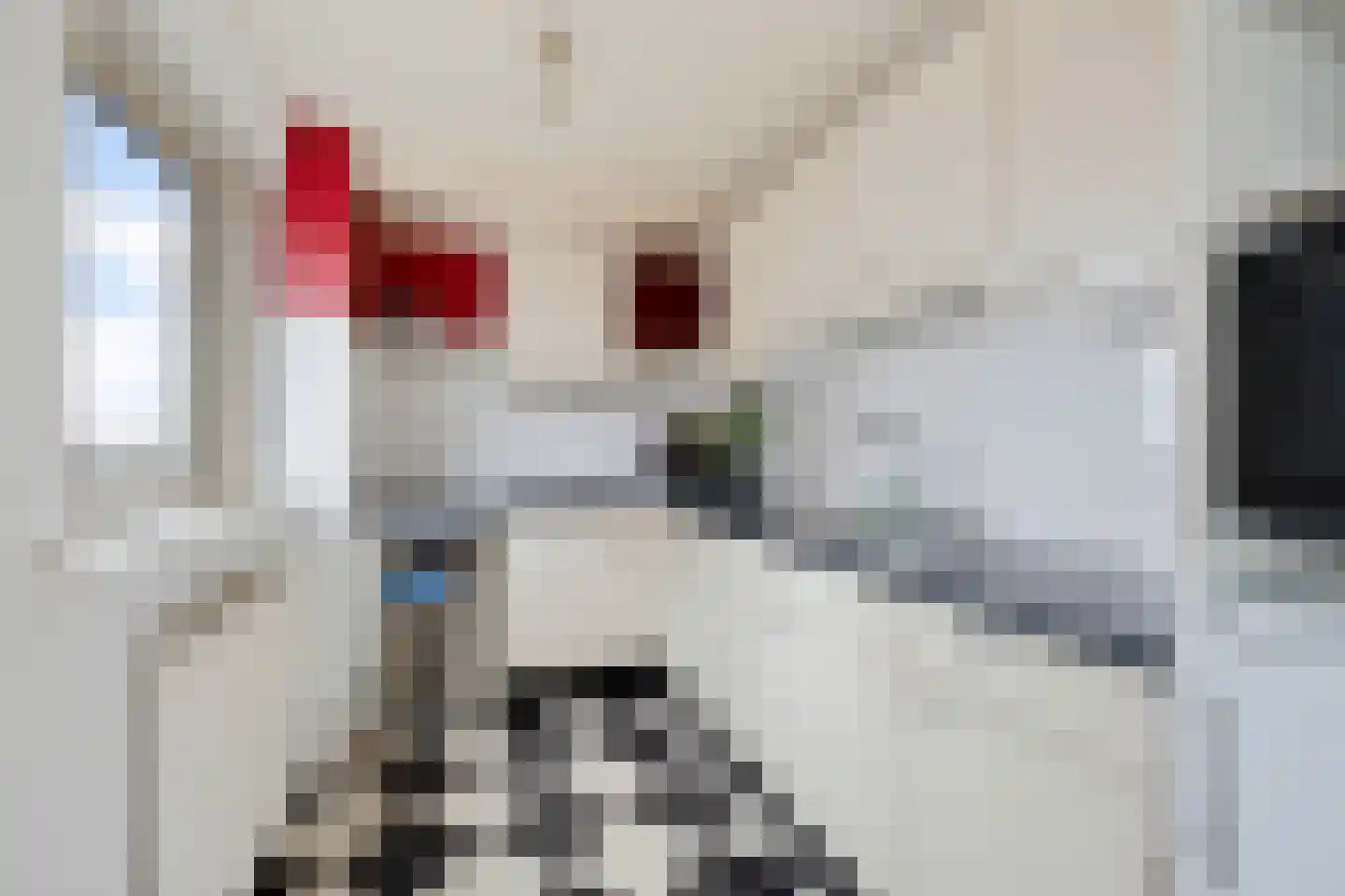 Europaplein 23 e Leeuwarden thumbnail 14
