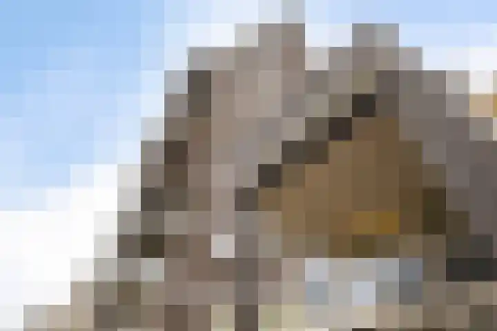 Europaplein 23 i Leeuwarden thumbnail 7