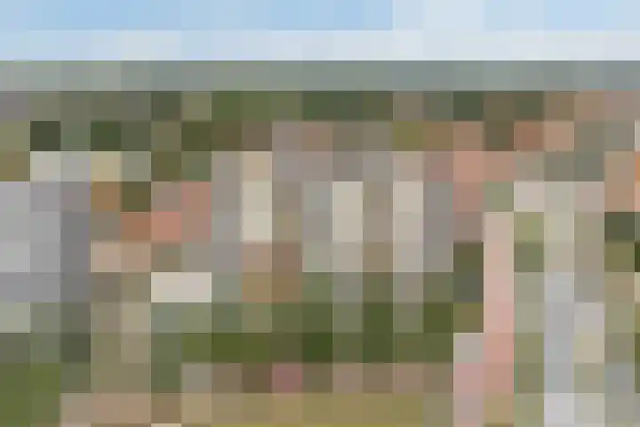 Europaplein 24 d Leeuwarden thumbnail 38
