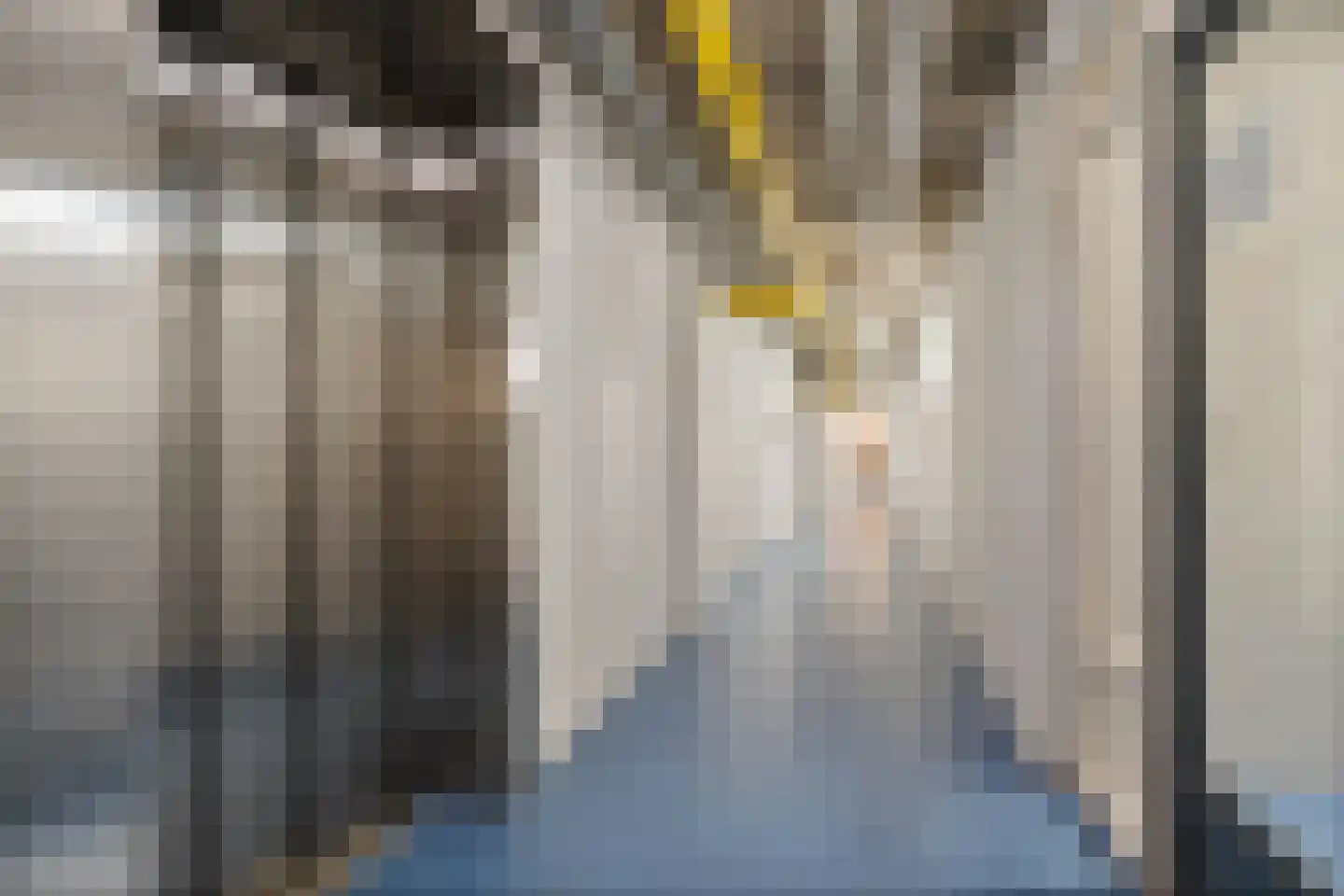 Europaplein 26 e Leeuwarden thumbnail 30
