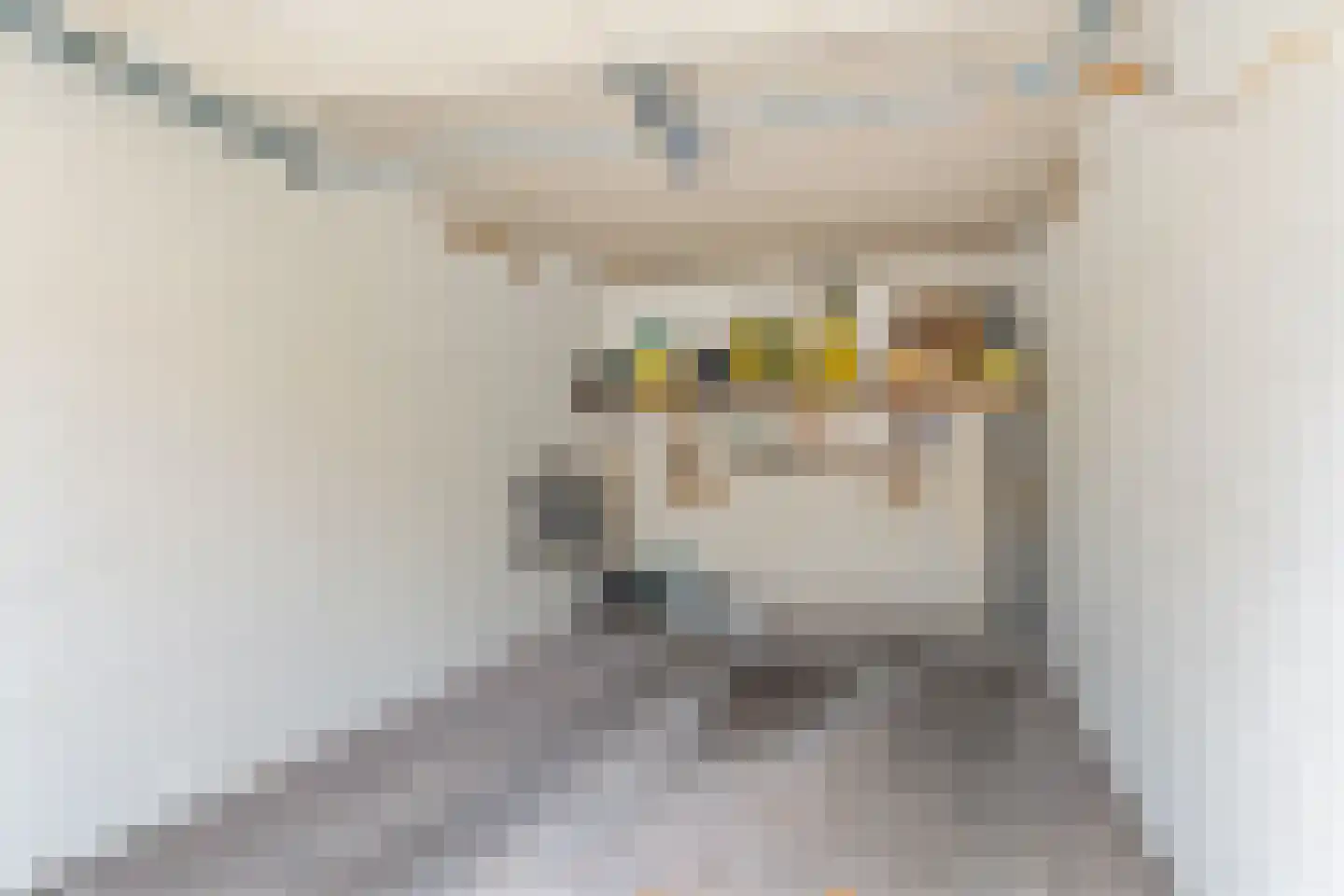 Europaplein 3 f Leeuwarden thumbnail 31