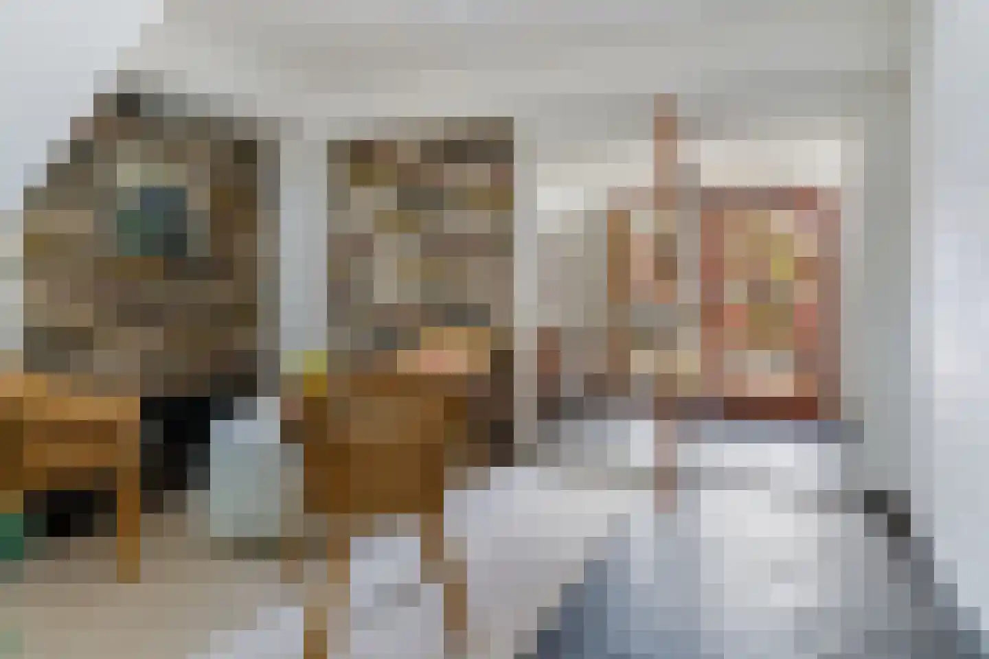 Europaplein 3 f Leeuwarden thumbnail 5
