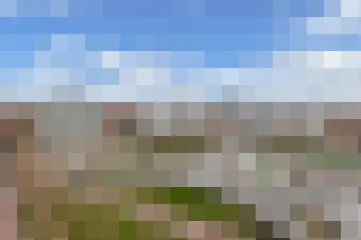 Europaplein 30 g Leeuwarden thumbnail 27