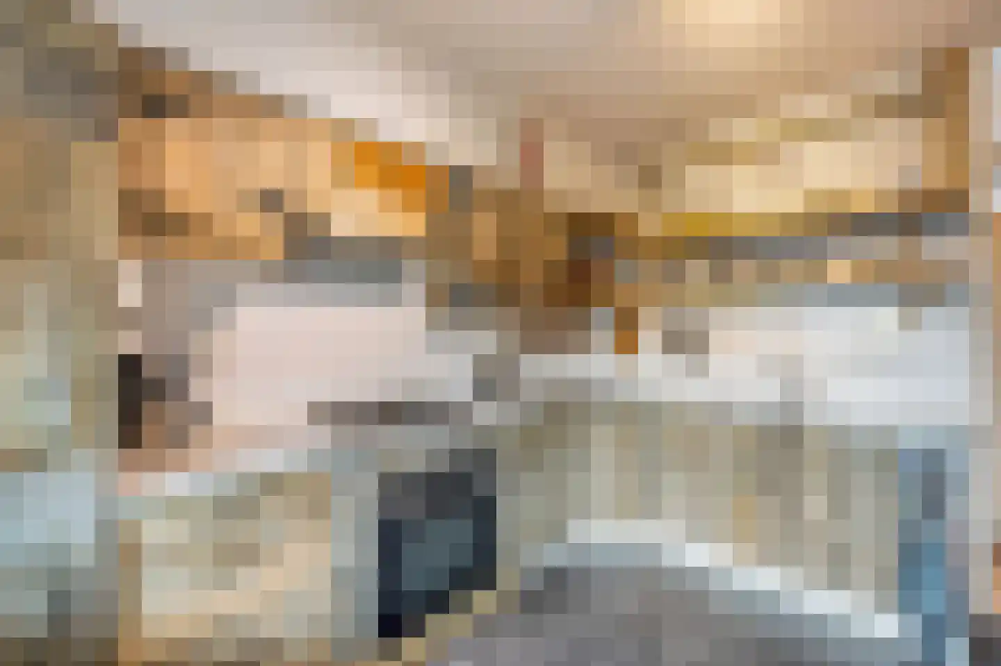 Europaplein 30 Heemskerk thumbnail 12