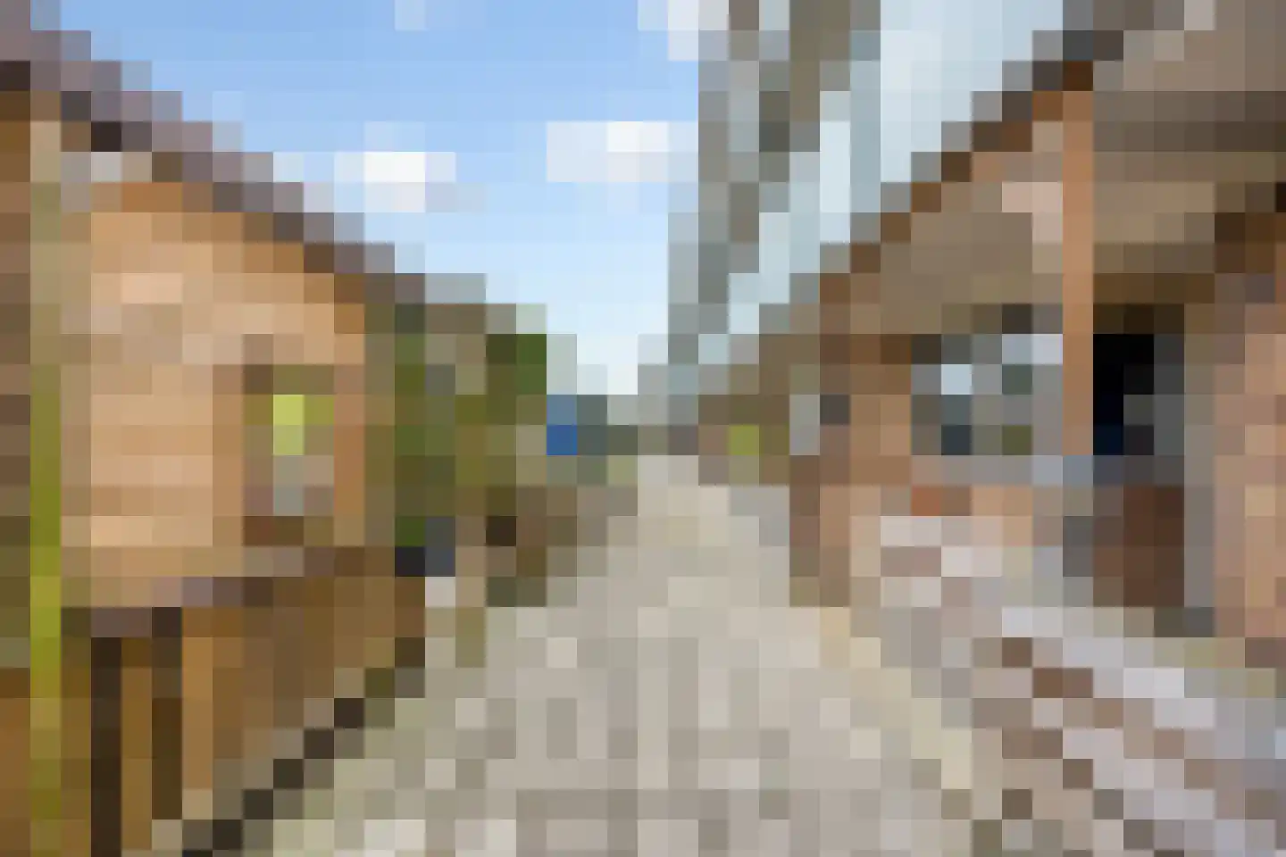 Europaplein 30 Heemskerk thumbnail 26