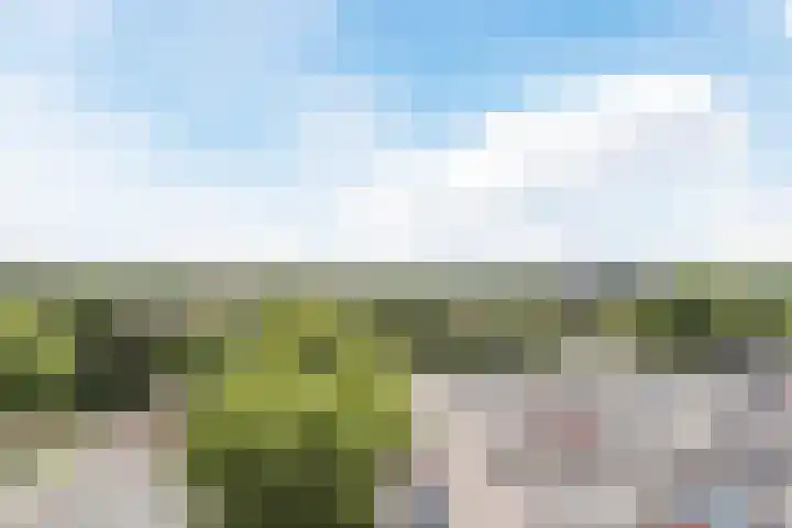 Europaplein 32 Alkmaar thumbnail 10