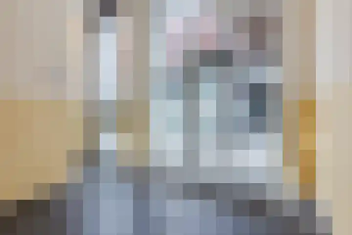 Europaplein 32 Alkmaar thumbnail 20