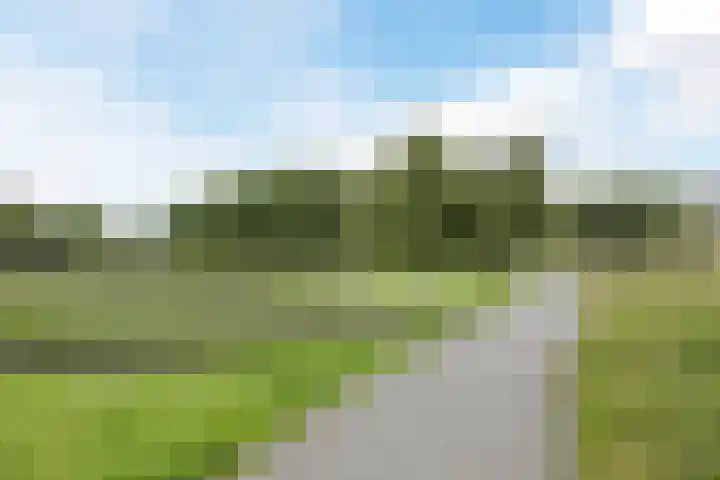 Europaplein 32 Alkmaar thumbnail 28