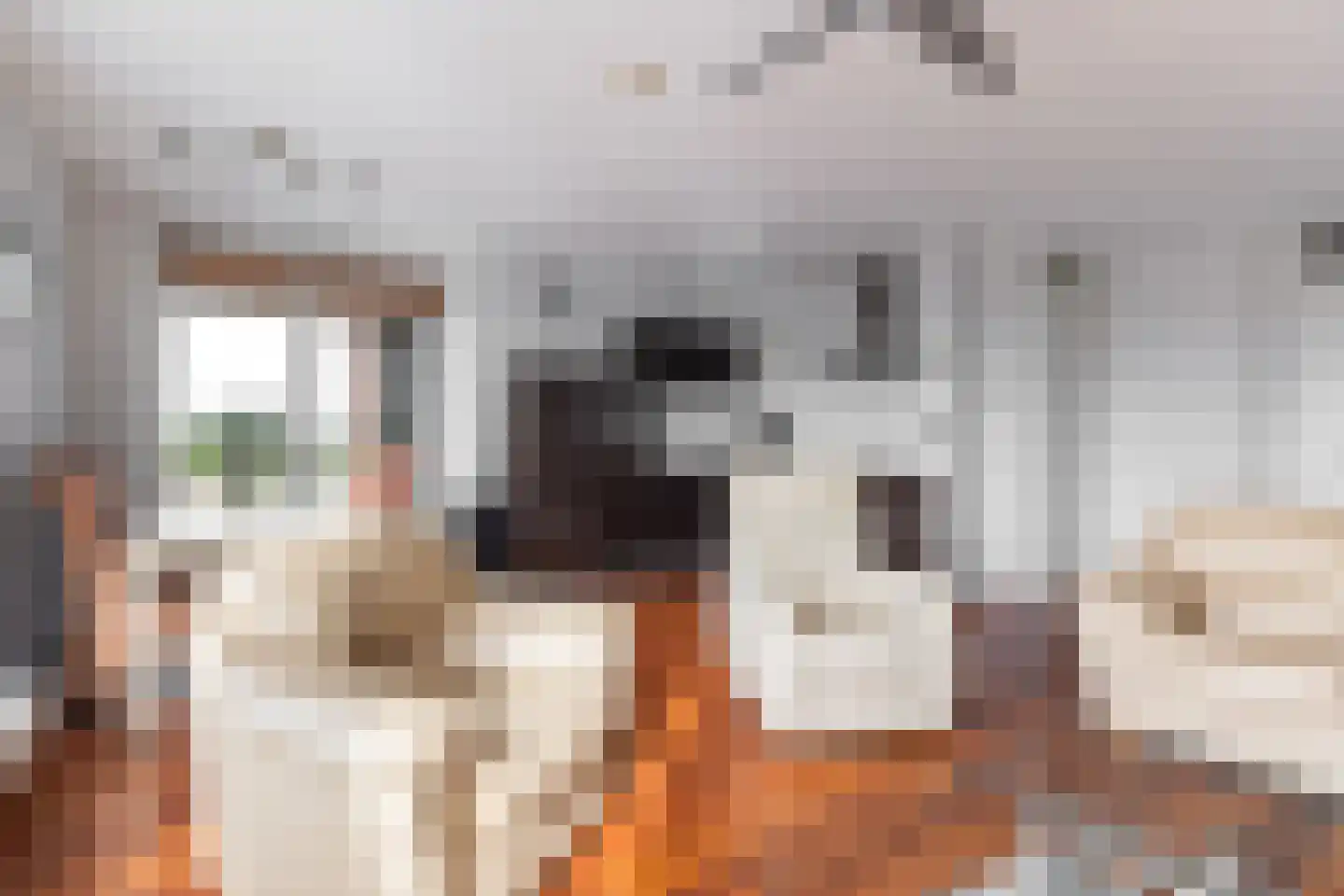 Europaplein 34 Alkmaar thumbnail 7