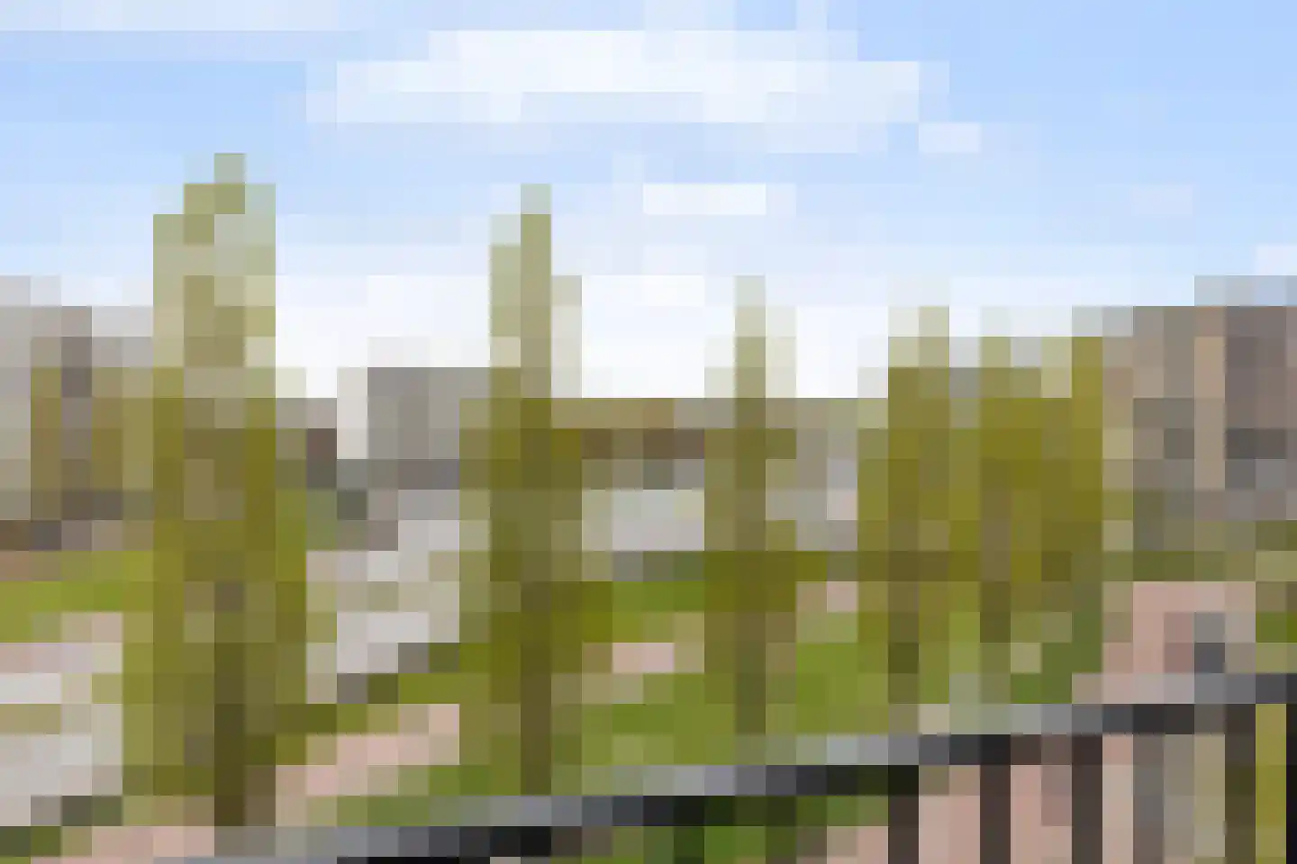 Europaplein 36 e Leeuwarden thumbnail 18