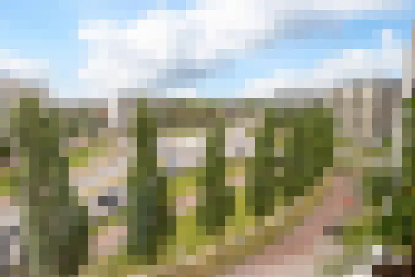 Europaplein 36 g Leeuwarden thumbnail 23