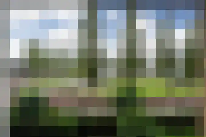 Europaplein 37 b Leeuwarden thumbnail 17