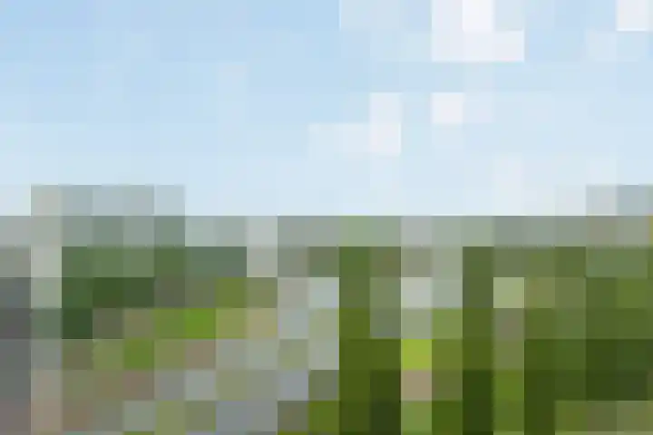 Europaplein 38 g Leeuwarden thumbnail 13
