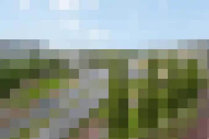 Europaplein 38 g Leeuwarden thumbnail 21