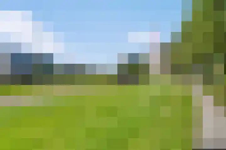 Europaplein 38 g Leeuwarden thumbnail 44