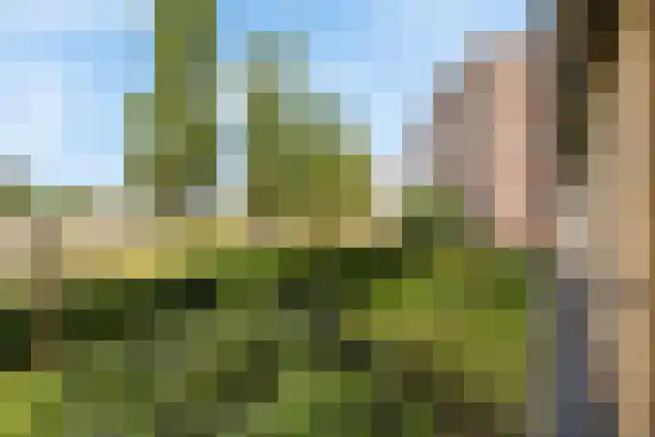 Europaplein 39 Leeuwarden thumbnail 8