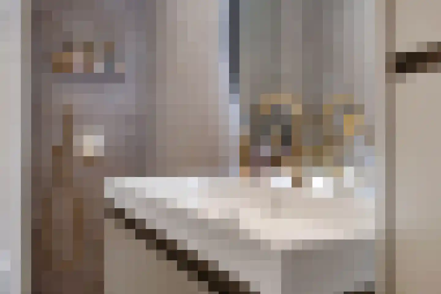 Europaplein 39 Stadskanaal thumbnail 9
