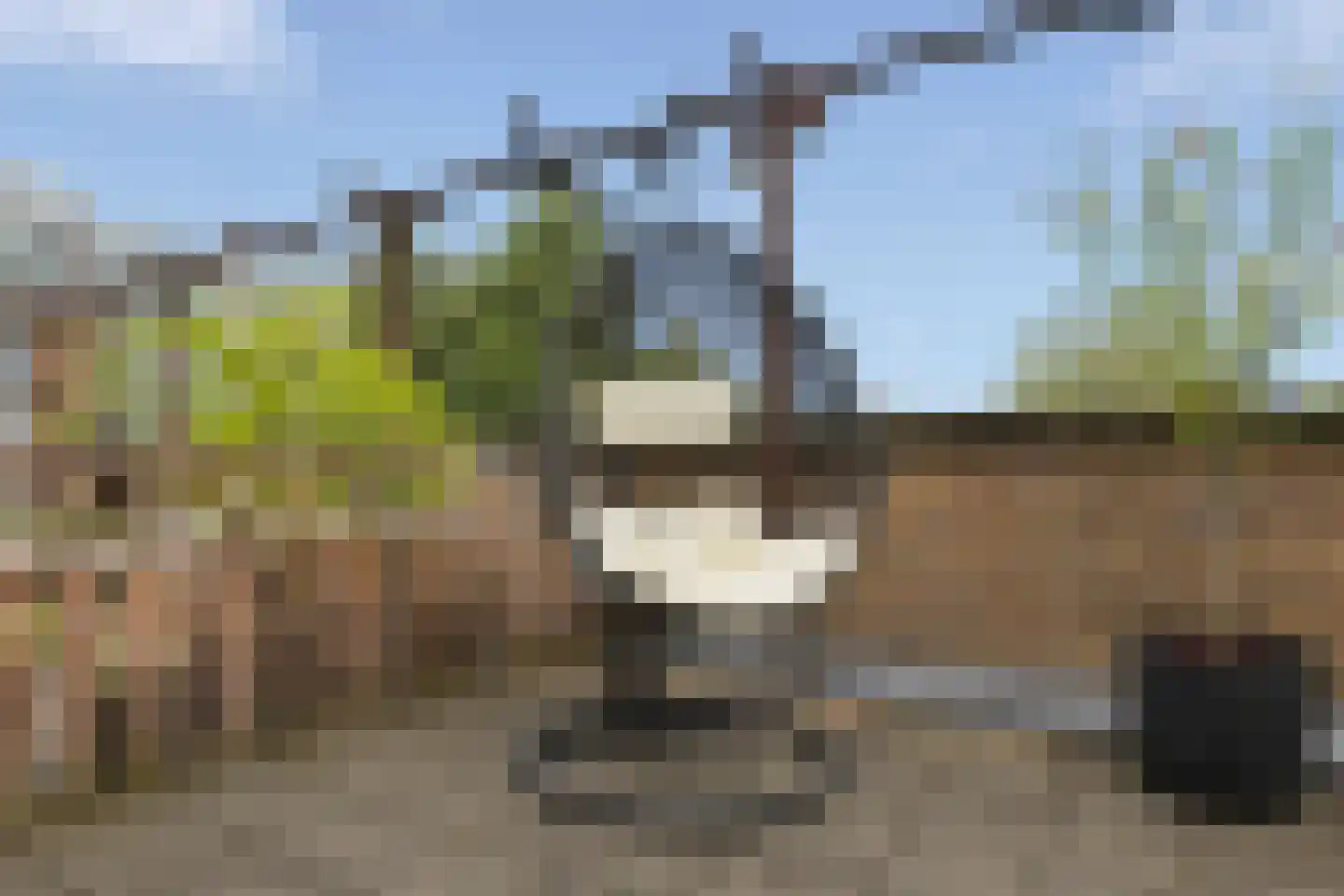 Europaplein 40 Heemskerk thumbnail 36