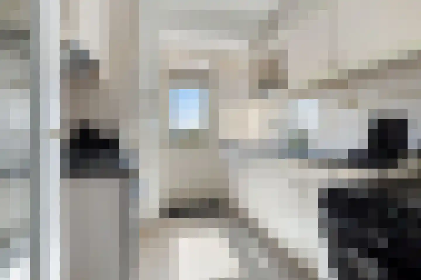 Europaplein 41 e Leeuwarden thumbnail 19