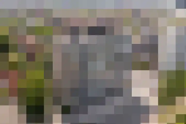 Europaplein 42 g Leeuwarden thumbnail 29