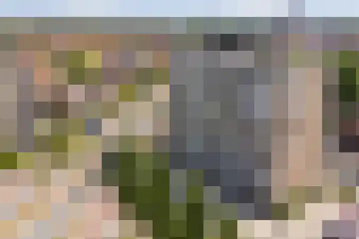 Europaplein 42 g Leeuwarden thumbnail 37