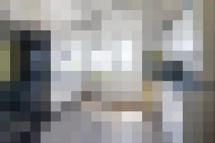 Europaplein 42 g Leeuwarden thumbnail 7