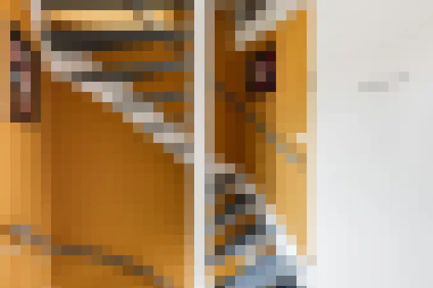 Europaplein 5 Hulst thumbnail 17