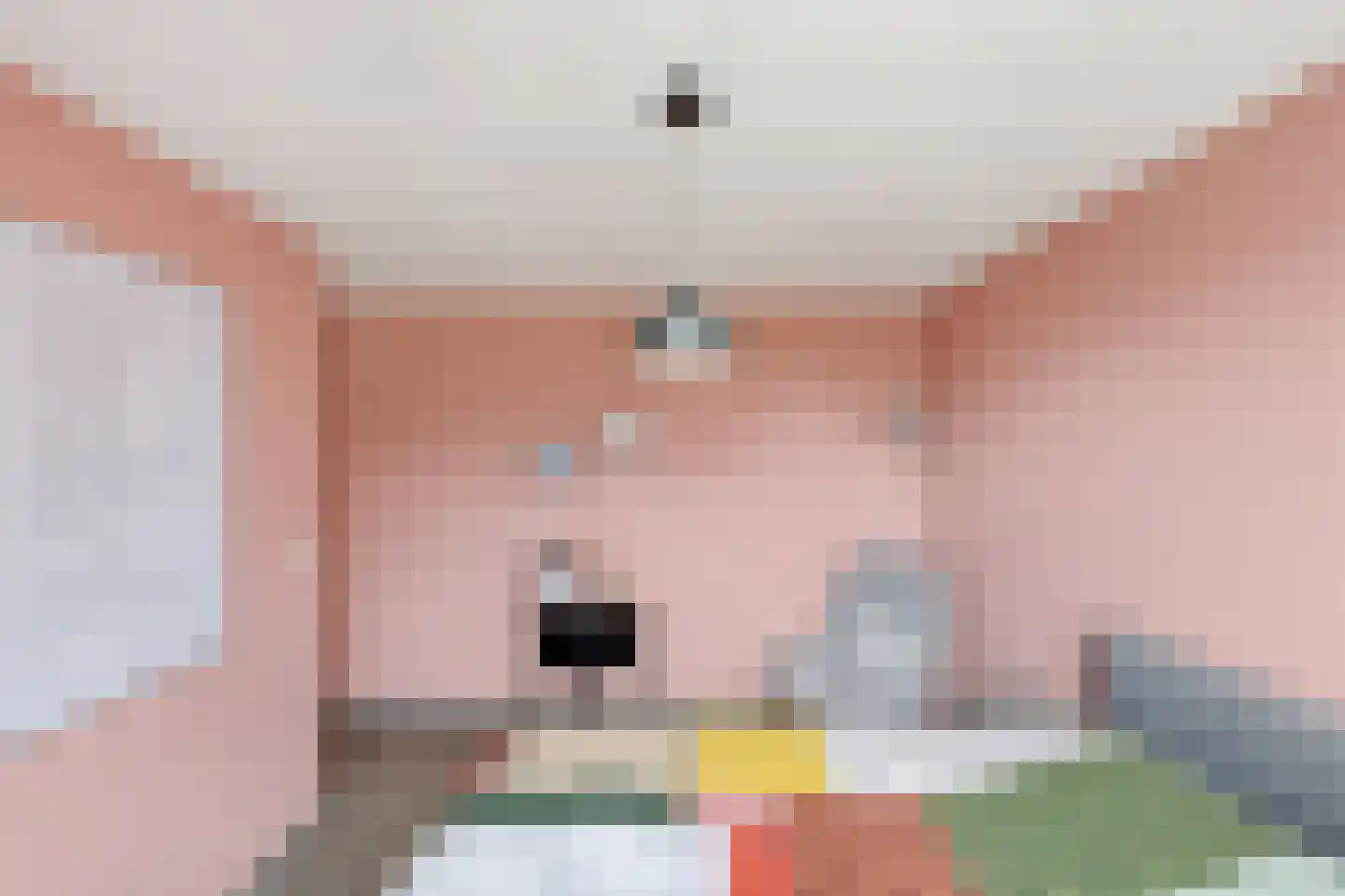 Europaplein 5 Hulst thumbnail 19