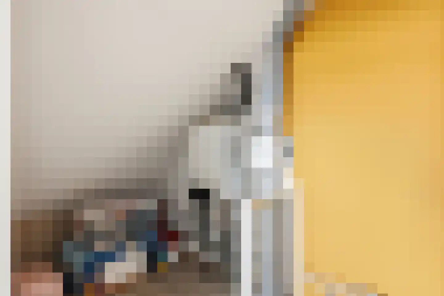 Europaplein 5 Hulst thumbnail 25