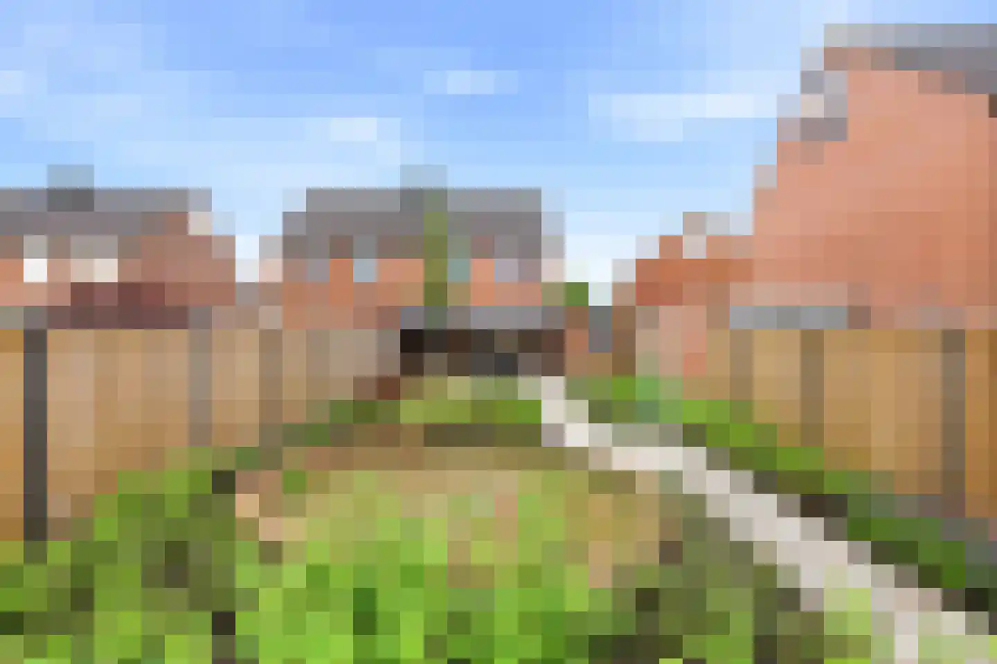 Europaplein 5 Hulst thumbnail 31