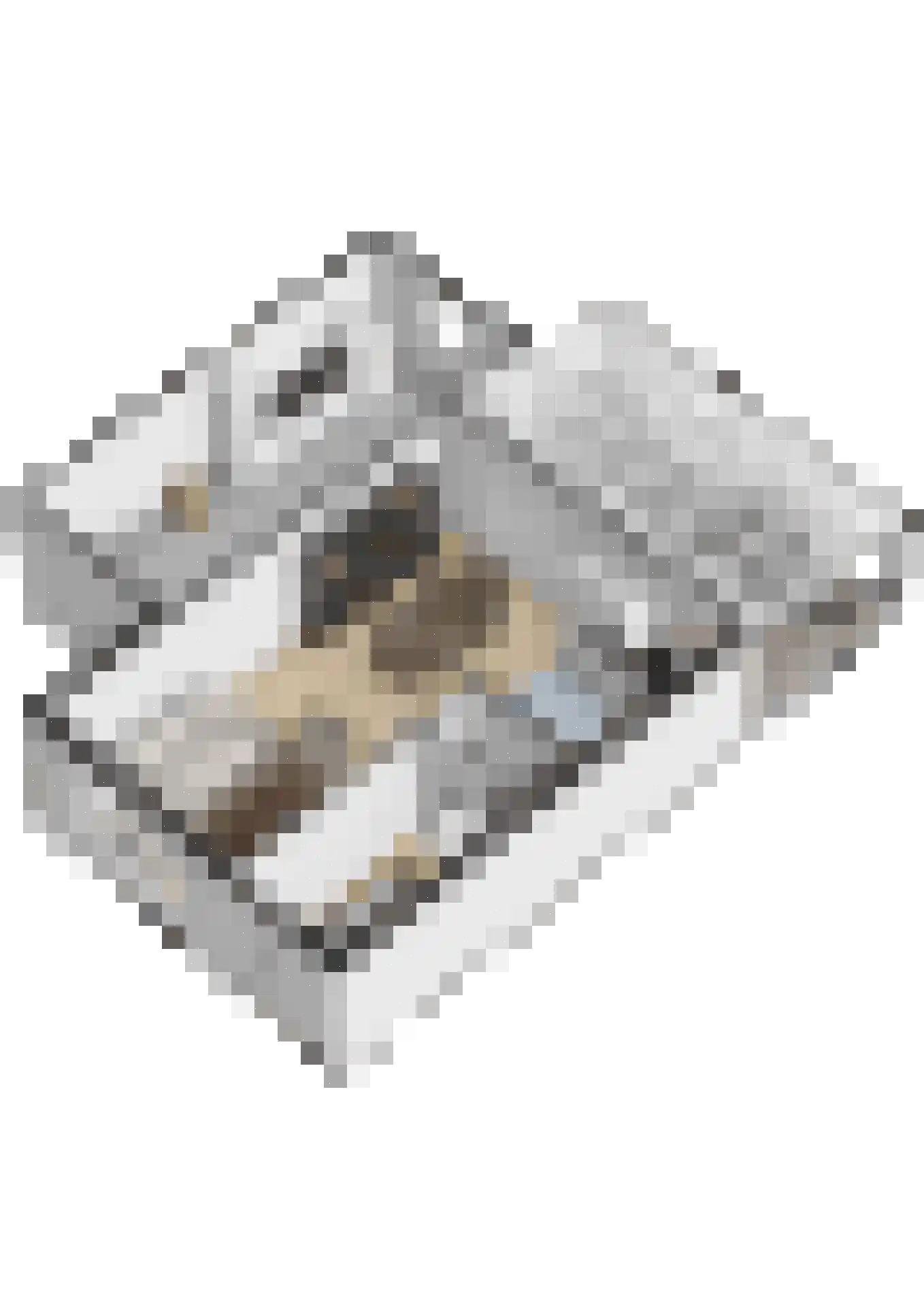 Europaplein 5 Hulst thumbnail 37