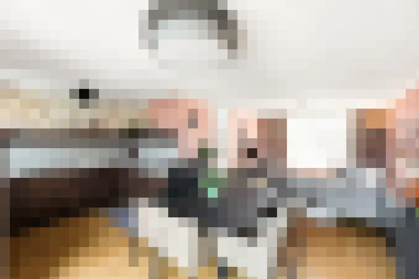 Europaplein 5 Hulst thumbnail 5