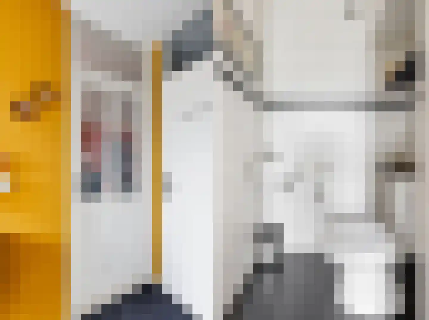 Europaplein 5 Hulst thumbnail 8