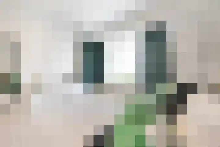 Europaplein 64 Heemskerk thumbnail 12