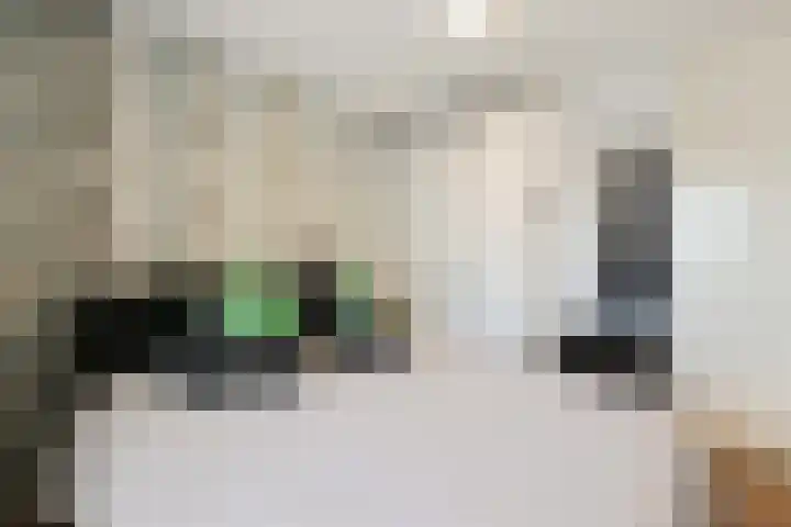 Europaplein 64 Heemskerk thumbnail 13