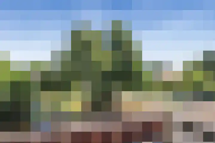Europaplein 64 Heemskerk thumbnail 17