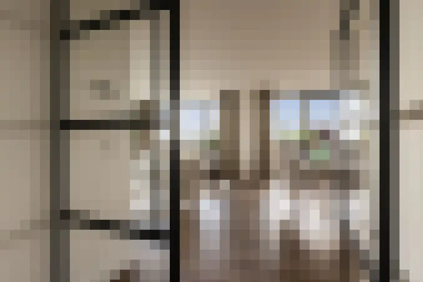 Europaplein 65 Elst thumbnail 10