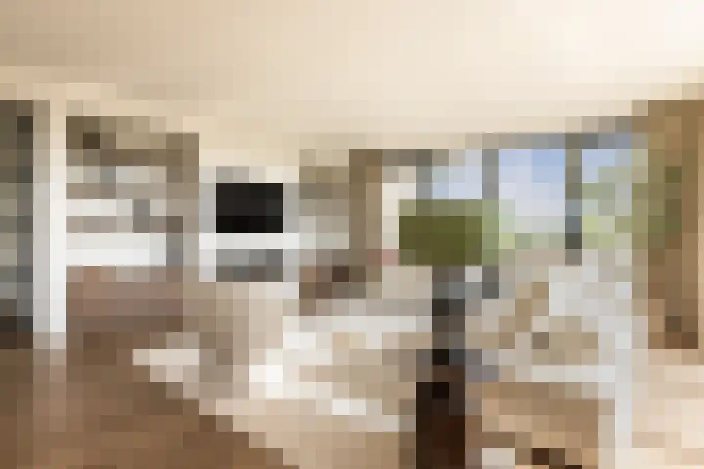 Europaplein 65 Elst thumbnail 11