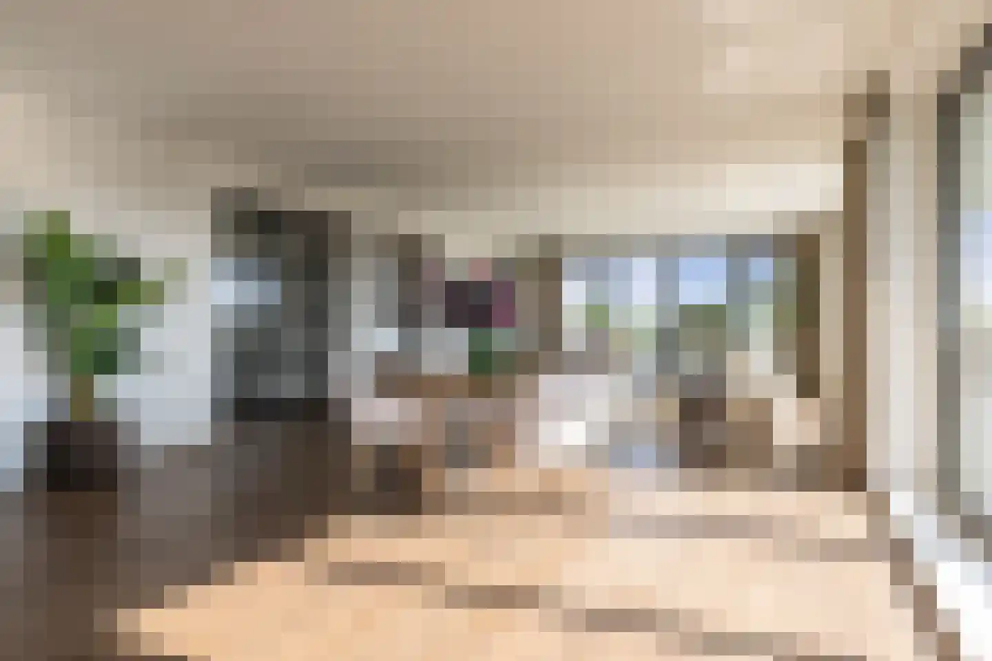 Europaplein 65 Elst thumbnail 13