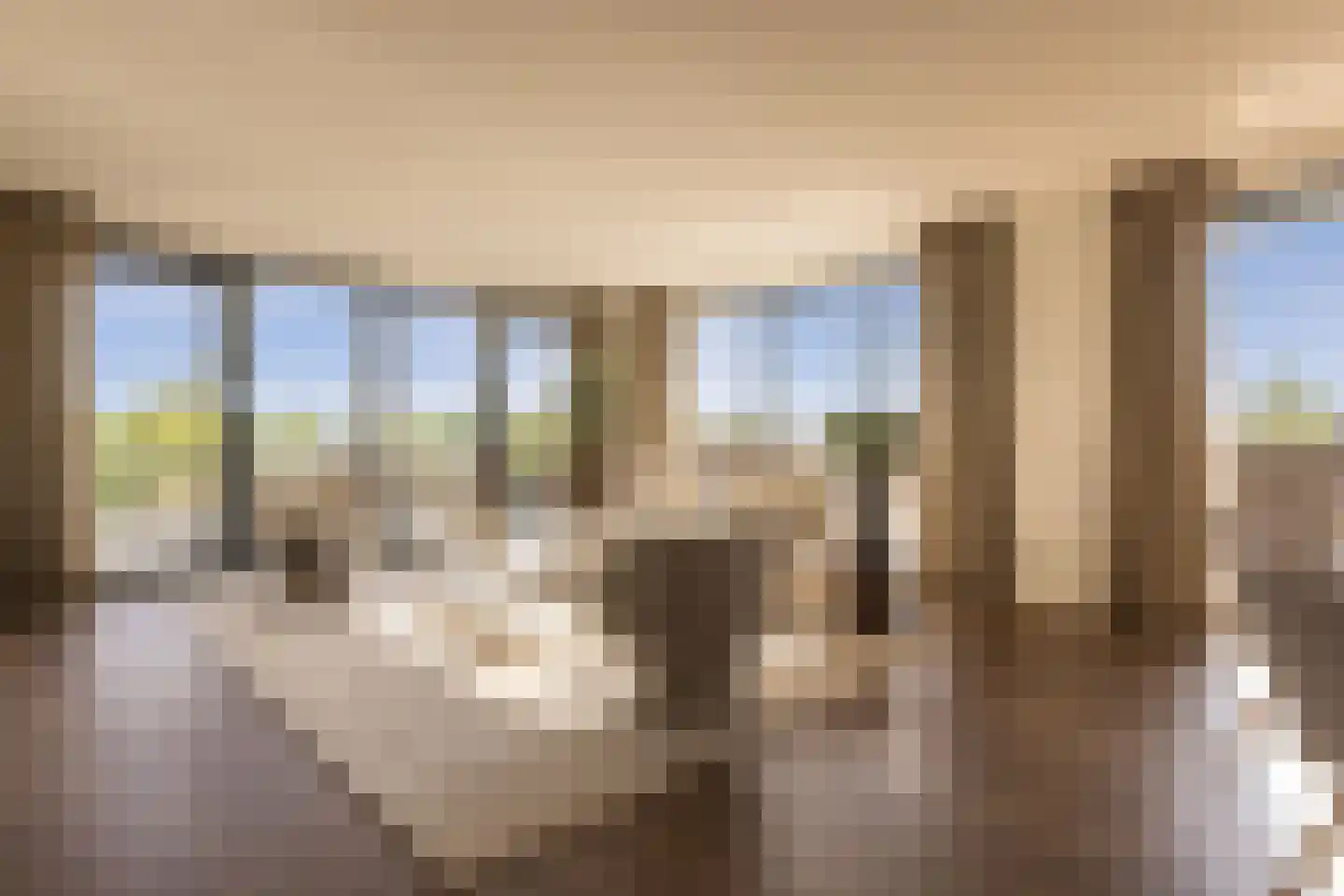 Europaplein 65 Elst thumbnail 15