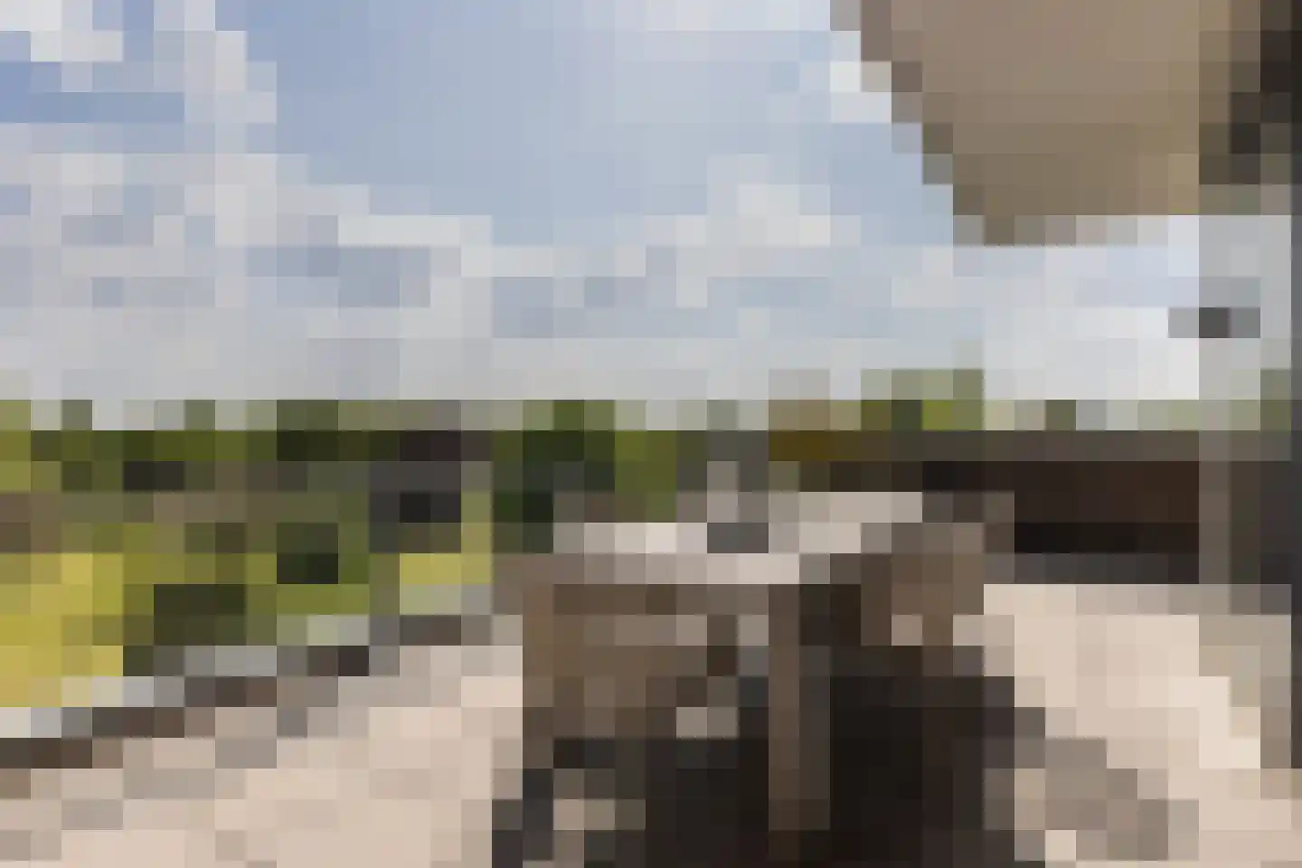 Europaplein 65 Elst thumbnail 17