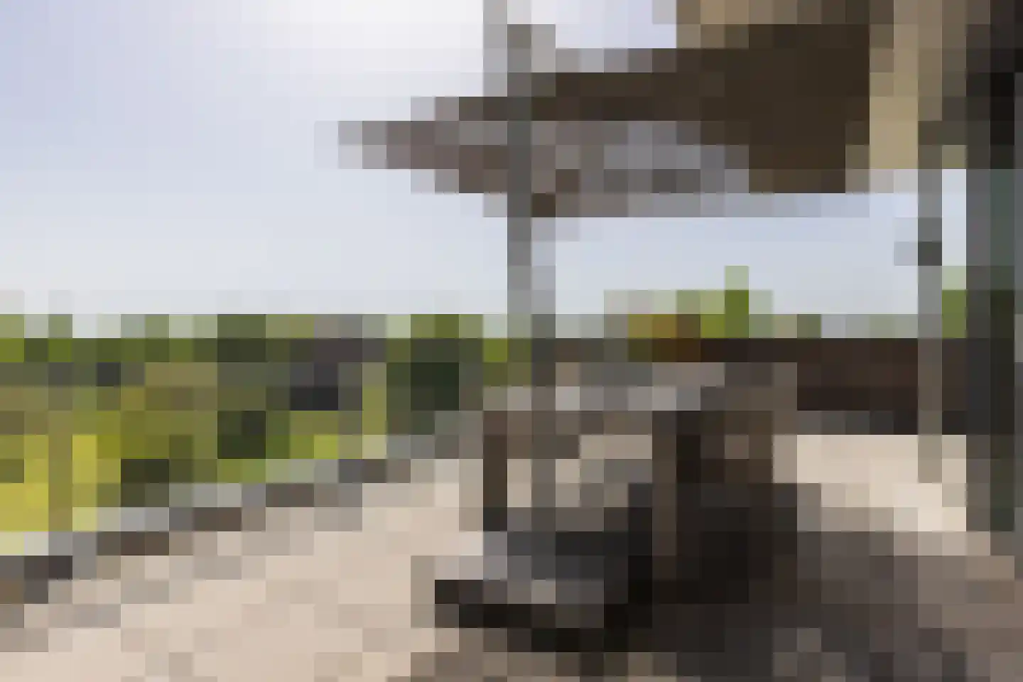 Europaplein 65 Elst thumbnail 18