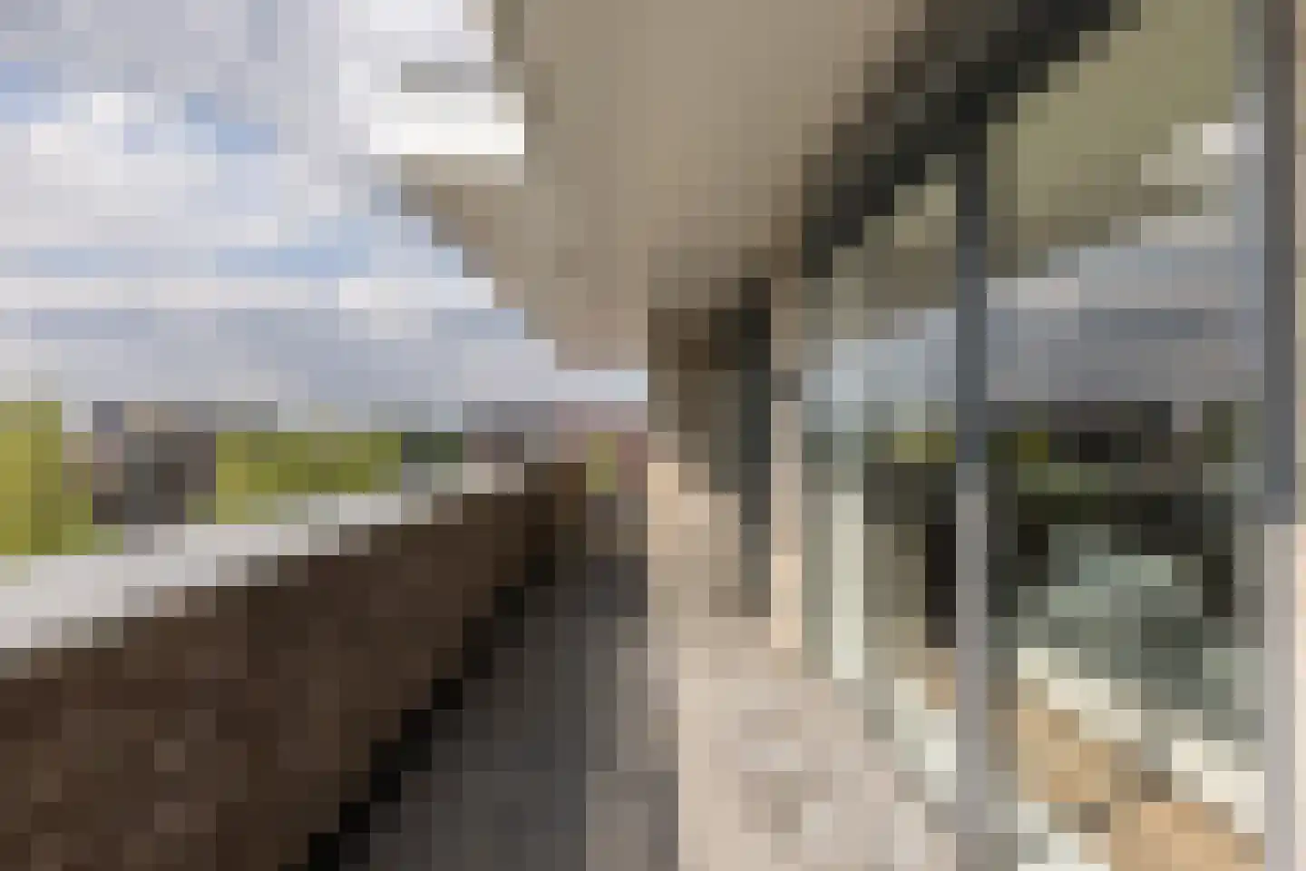 Europaplein 65 Elst thumbnail 20