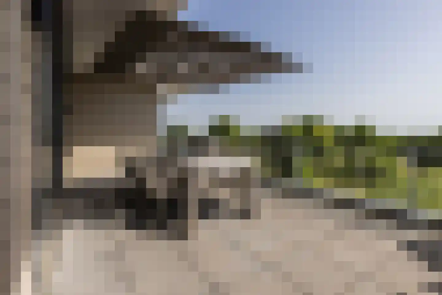 Europaplein 65 Elst thumbnail 21