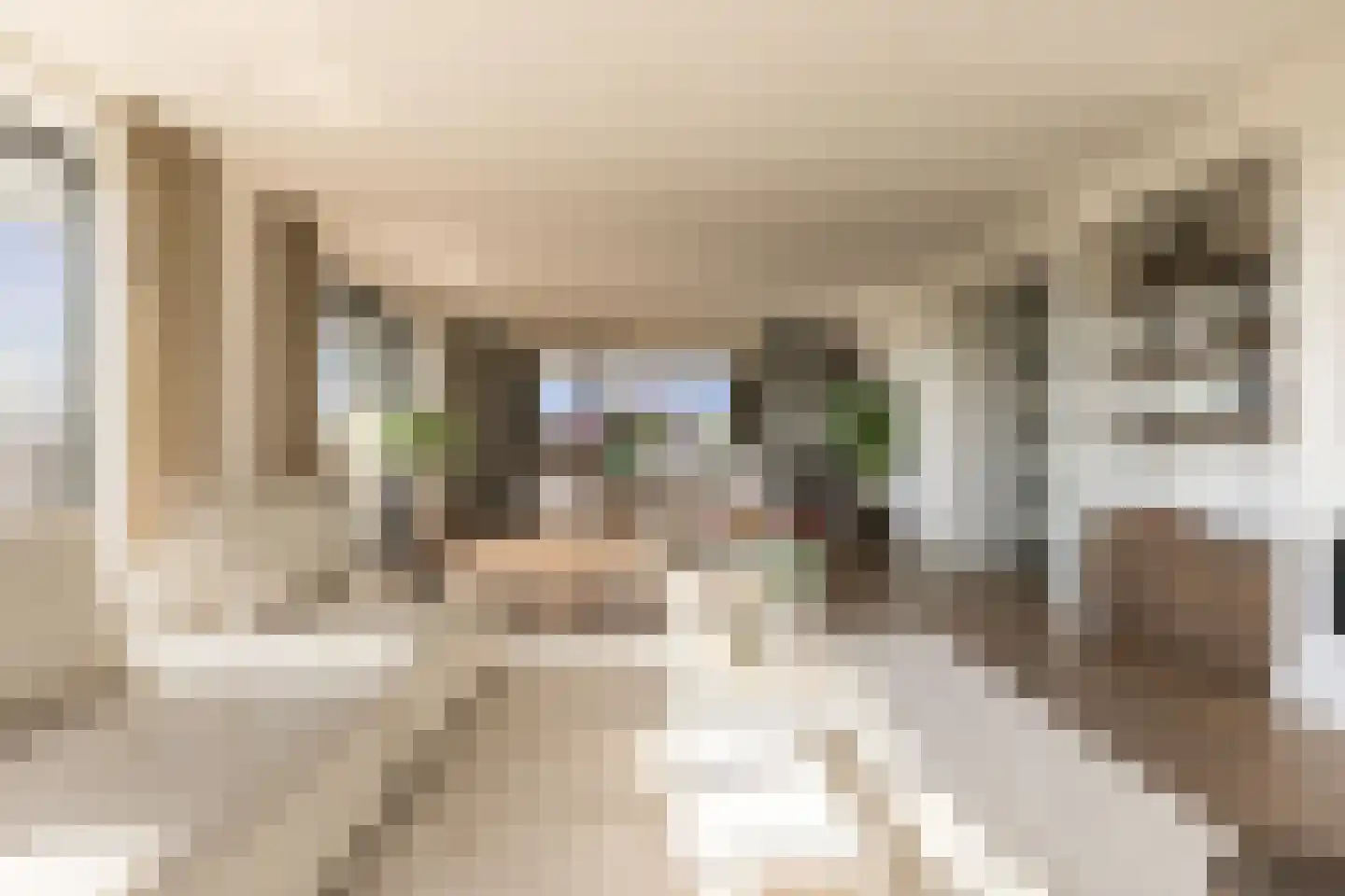 Europaplein 65 Elst thumbnail 23