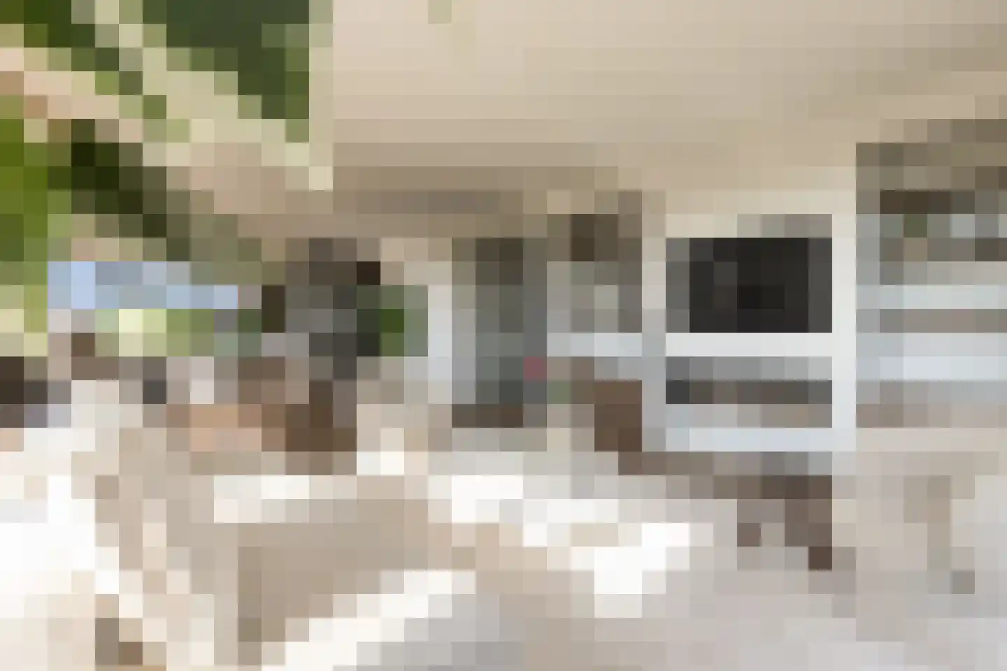 Europaplein 65 Elst thumbnail 24