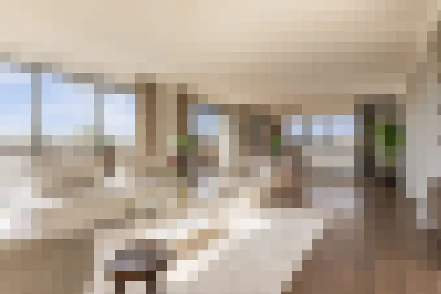 Europaplein 65 Elst thumbnail 26