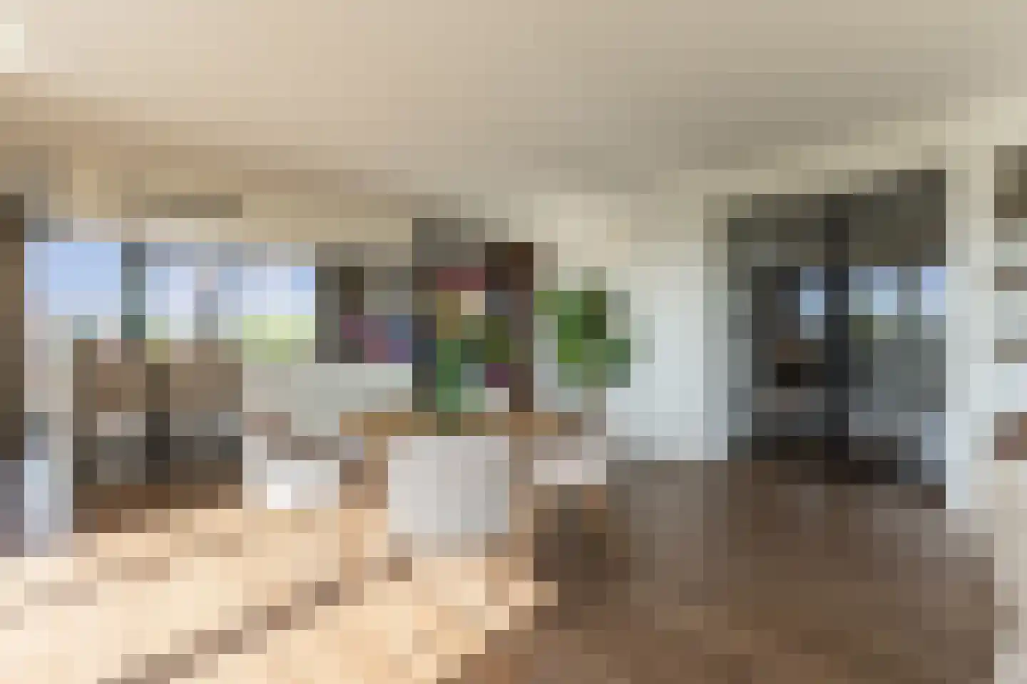 Europaplein 65 Elst thumbnail 28