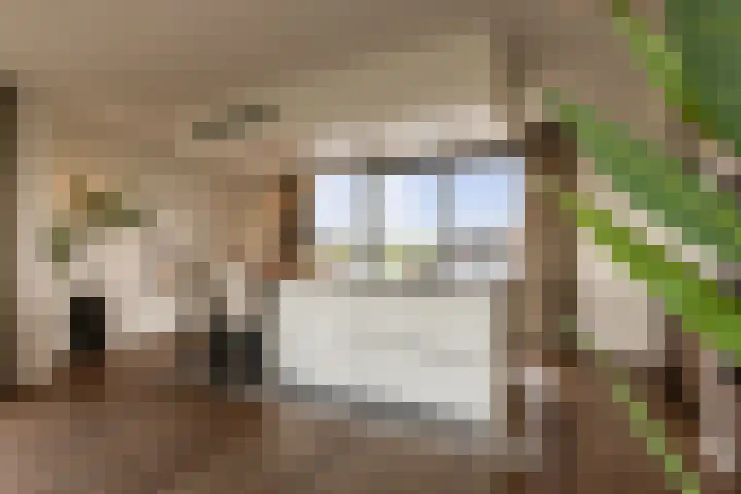 Europaplein 65 Elst thumbnail 29